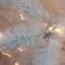 7.5ft. Pre-Lit White Iridescent Alaskan Pine Artificial Christmas Tree, Warm White Lights